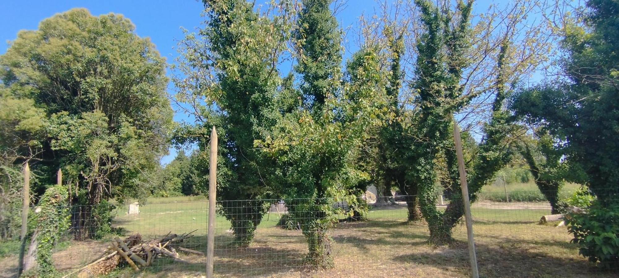 Вилла Mas En Provence Ле-Тор Экстерьер фото