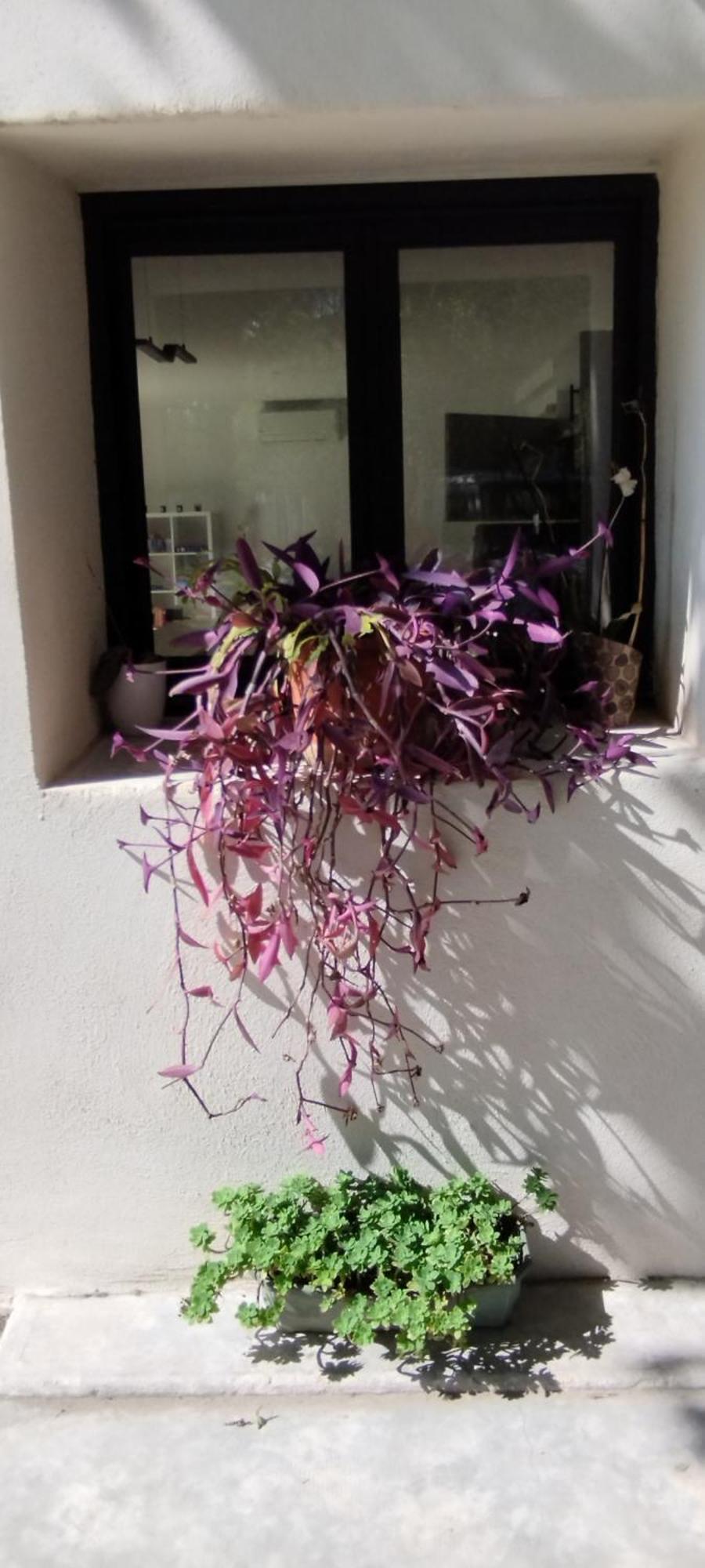 Вилла Mas En Provence Ле-Тор Экстерьер фото